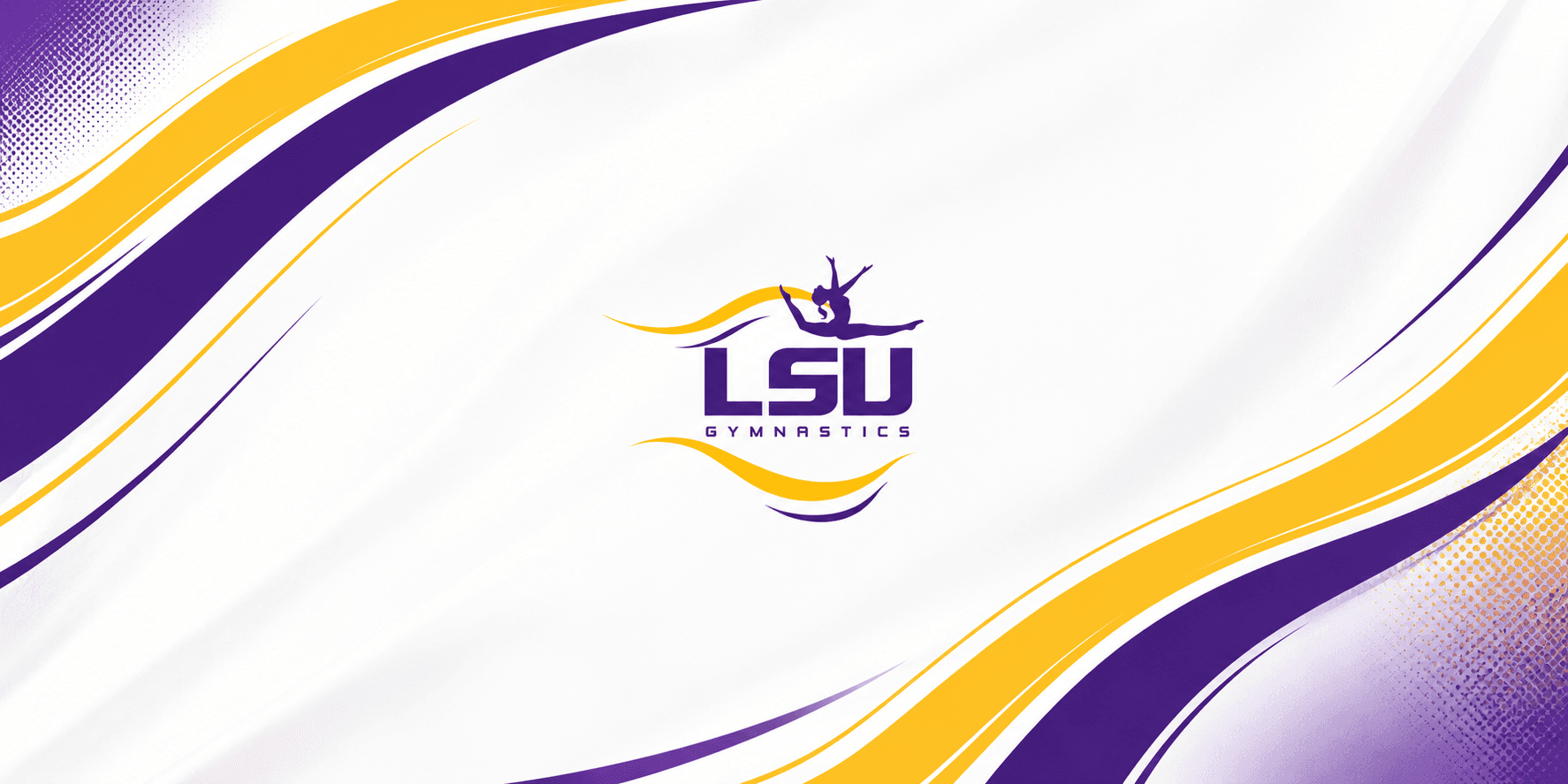 NILSU Gymnastics banner