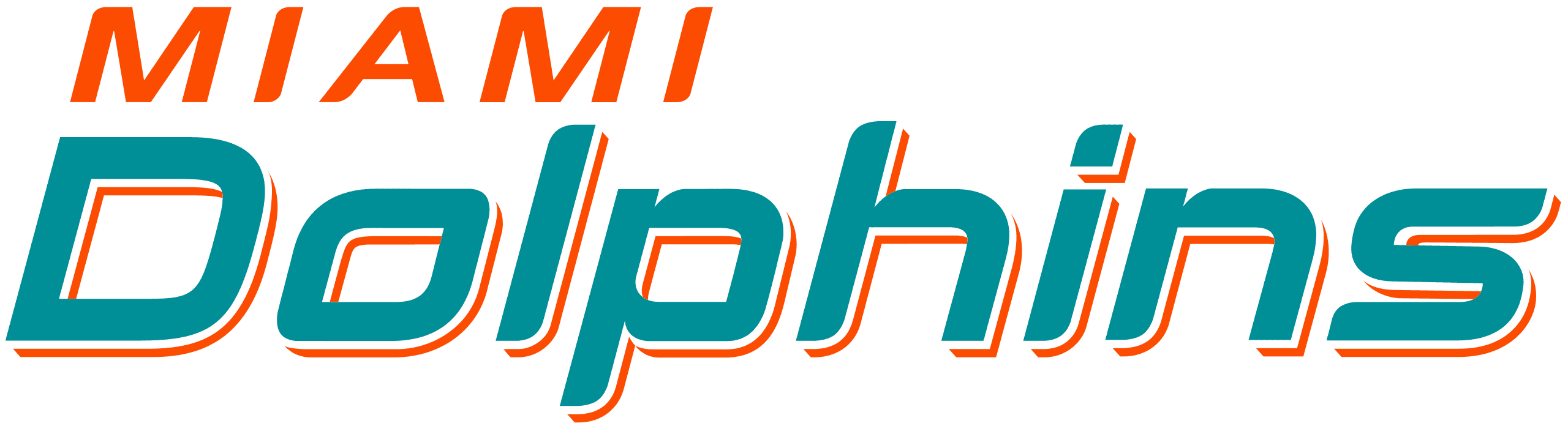 Dolphins banner