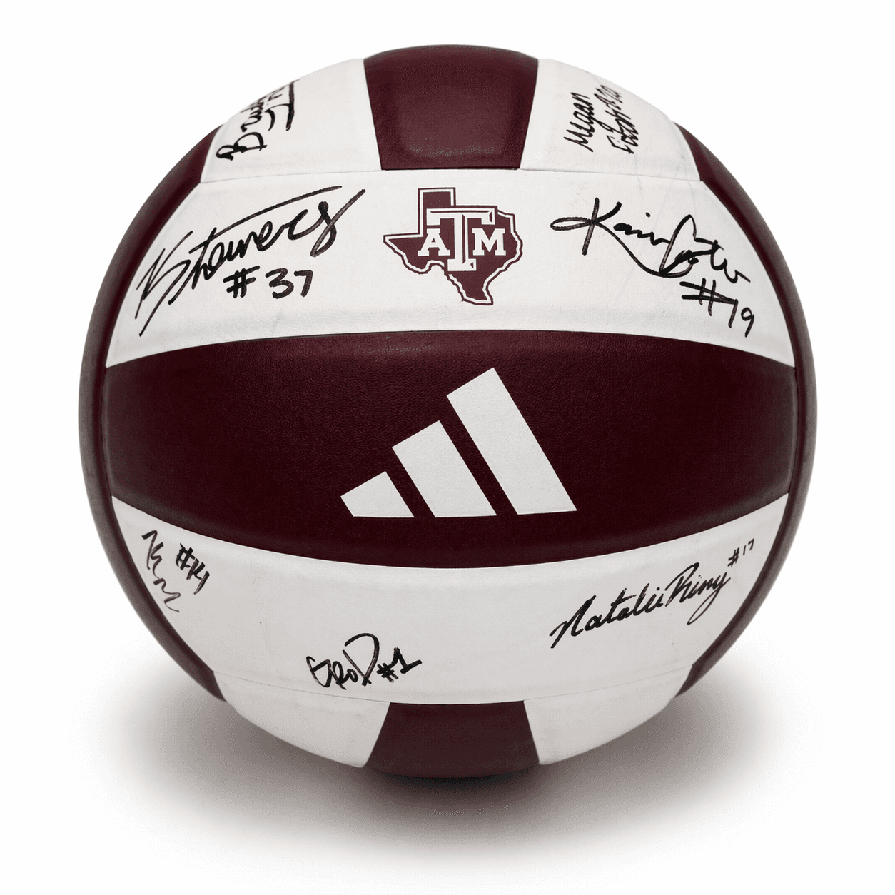 Signed Texas A&M Volleyball – Team & Coaches
