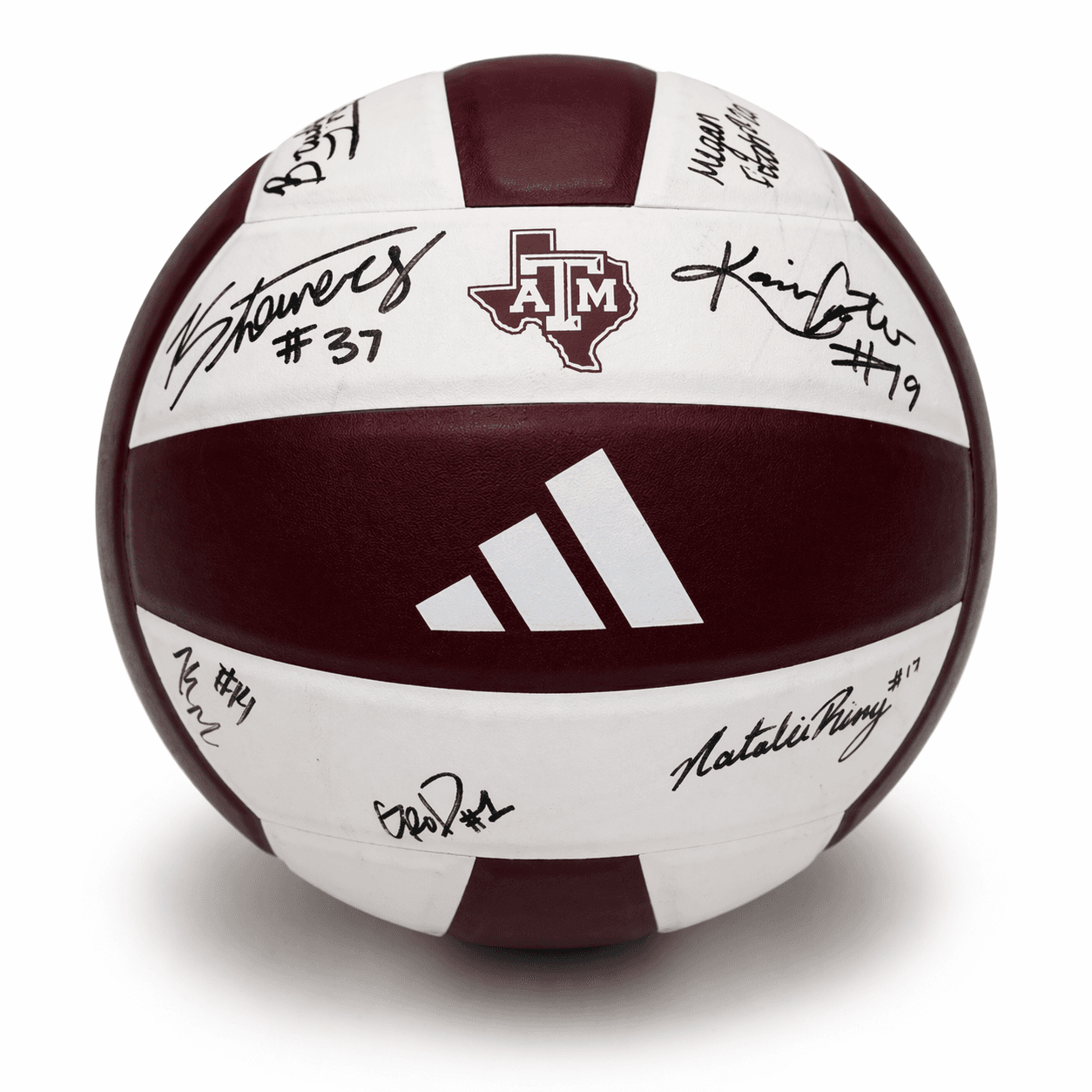 Signed Texas A&M Volleyball – Team & Coaches auction image