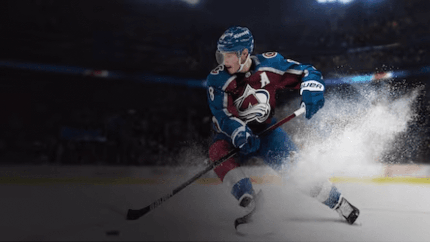NHL (National Hockey League) banner