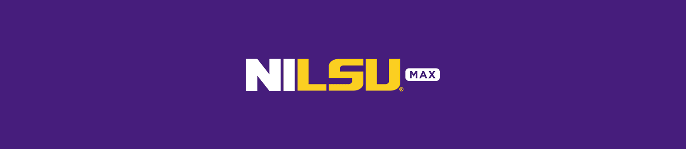 NILSU MAX banner