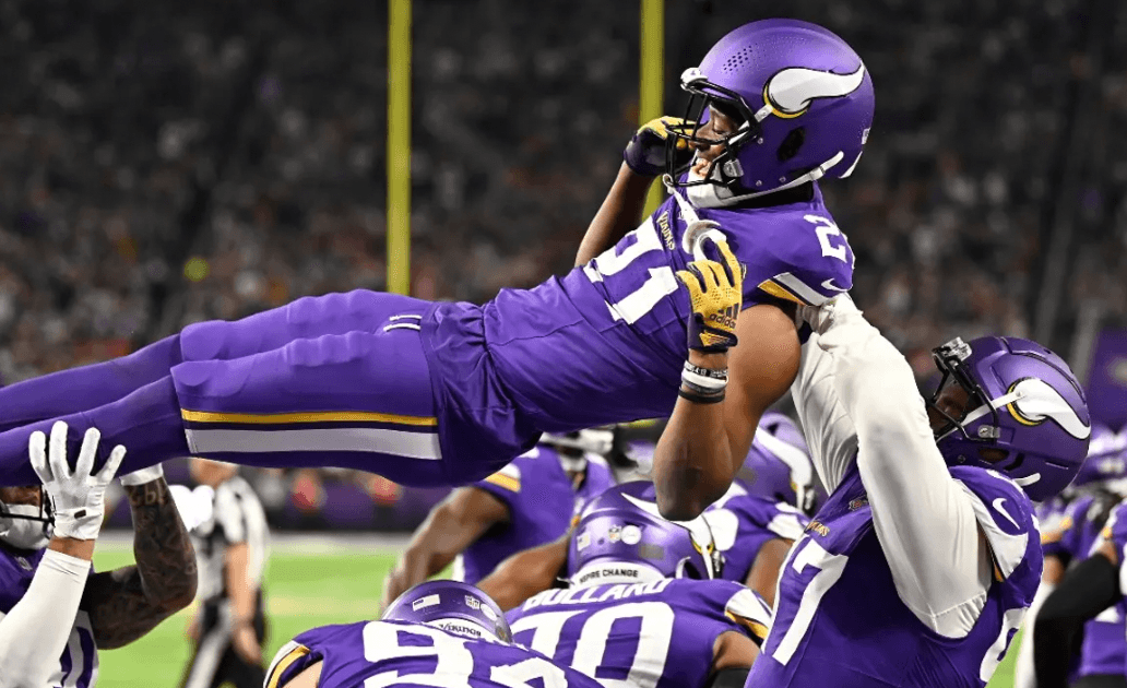 Minnesota Vikings banner