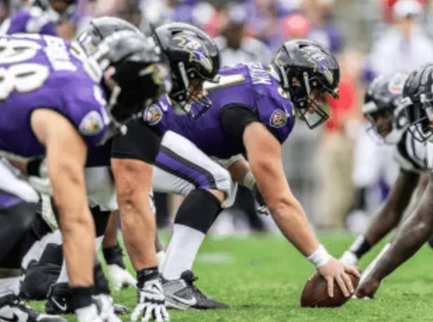 Baltimore Ravens banner