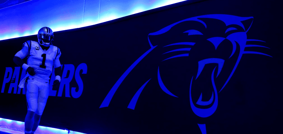 Carolina Panthers banner