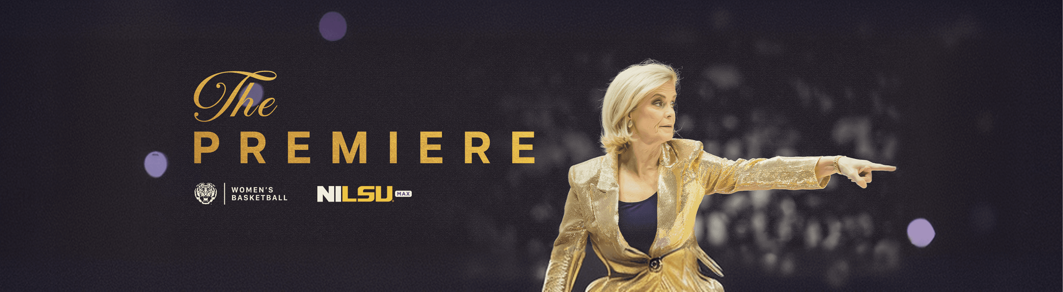 LSU Women's Basketball banner