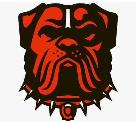Browns banner