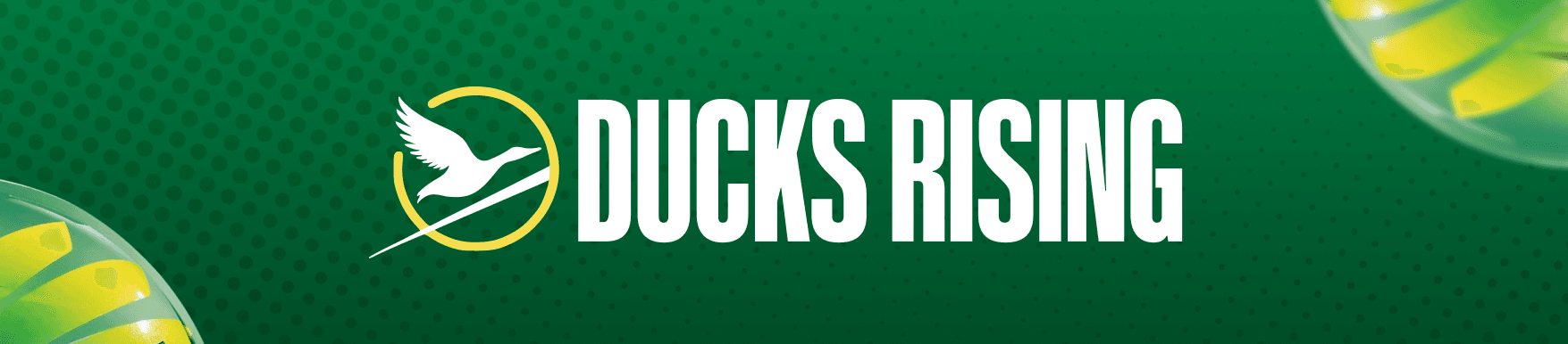 Ducks Rising banner