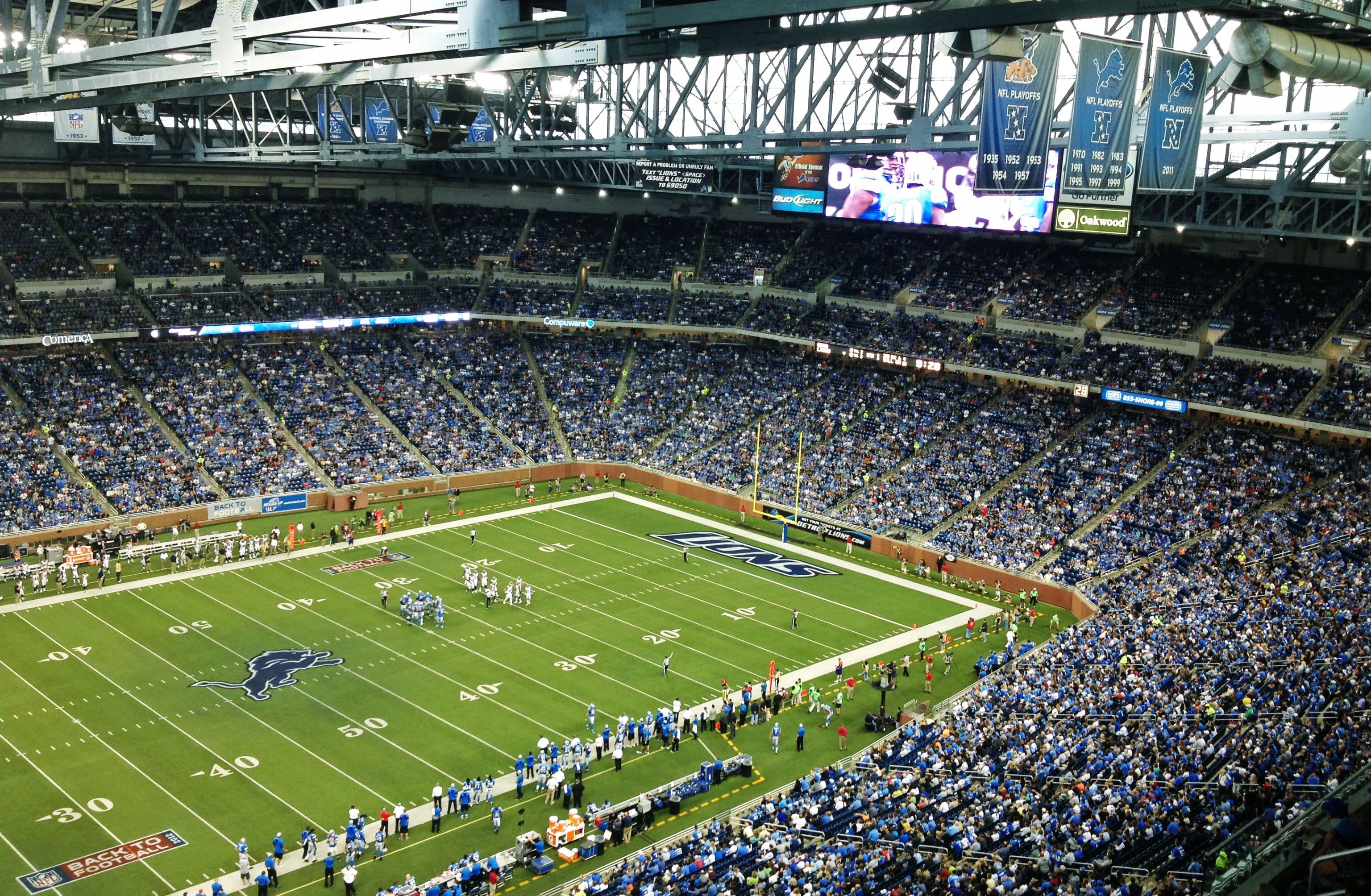 Detroit Lions banner