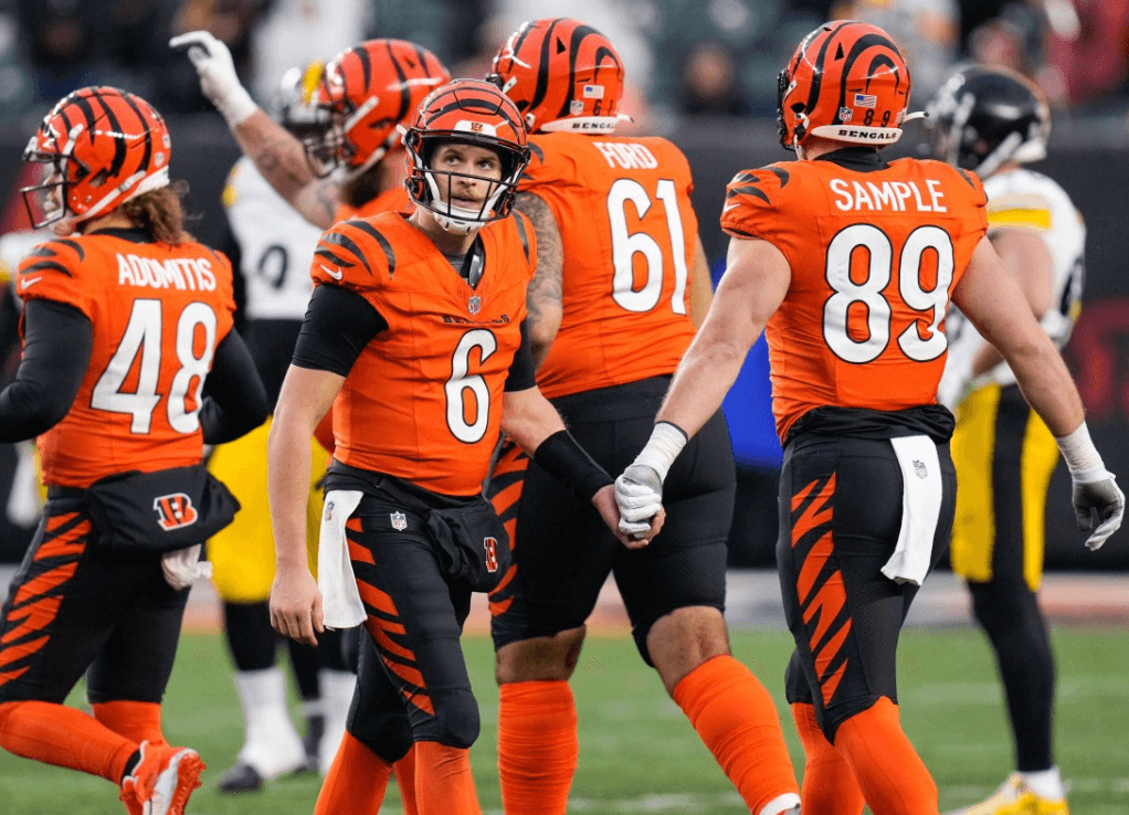 Cincinnati Bengals banner