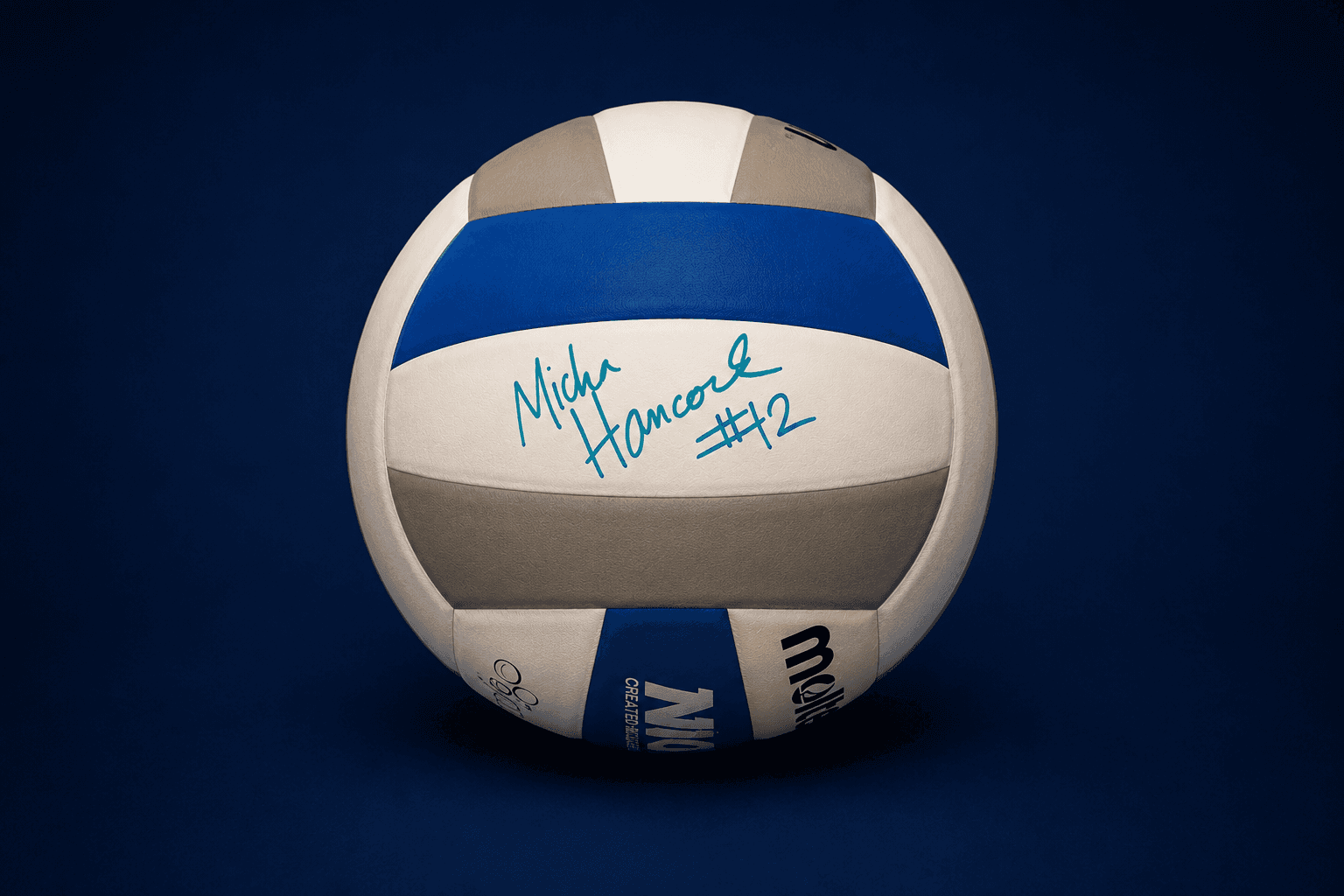 RUSS ROSE Penn State Autographed Signed Volleyball Ball